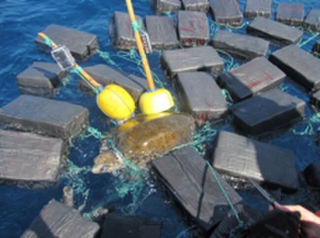 USCG Drug Seizure_1
