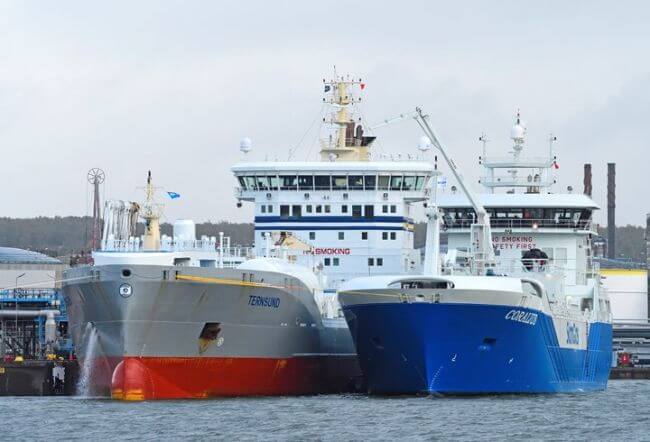 lng-0279-a-foto-g-assner