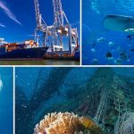 GloLitter_Plastic IMO