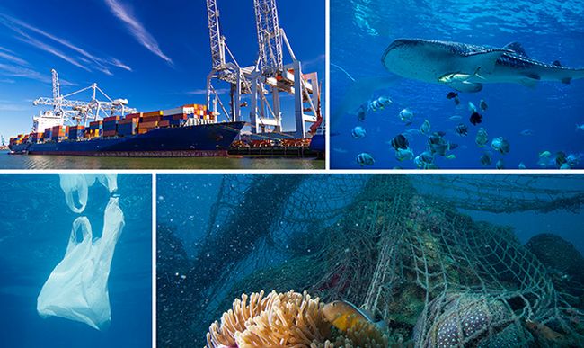 GloLitter_Plastic IMO