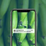 remote-container-management-captain-peter_