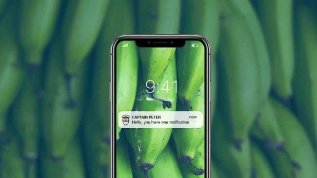 remote-container-management-captain-peter_