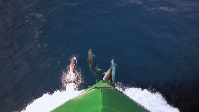 National-Geographic-Endurance_CR-Ulstein_hull