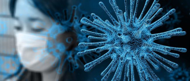 coronavirus