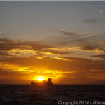 container cargo ship
