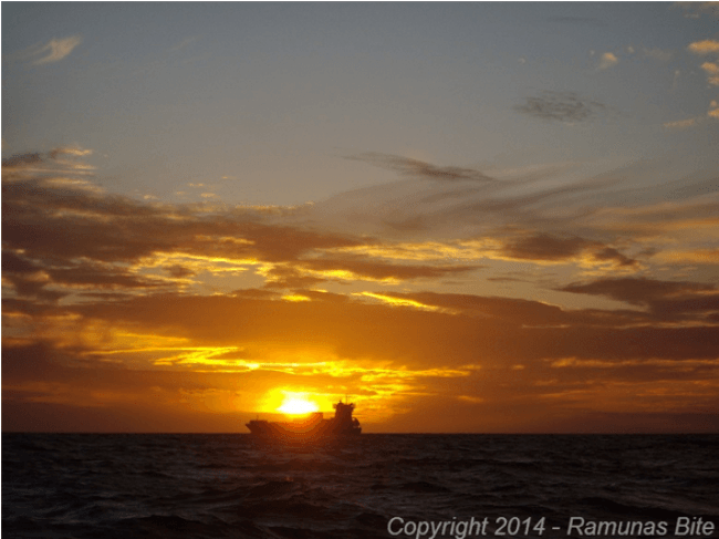 container cargo ship