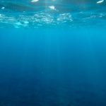 From Blooms To Ocean Deserts – Understanding Primary Productivity In The Ocean