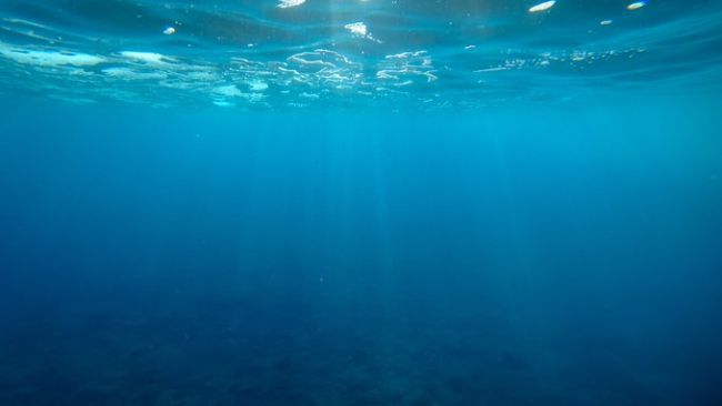 From Blooms To Ocean Deserts – Understanding Primary Productivity In The Ocean