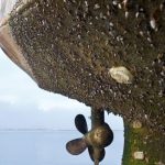 Hull fouling