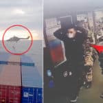 German-Forces-intercepts-ship-sailing-to-libya