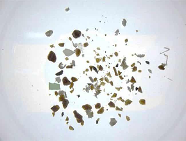 MOL & Miura To Test Microplastic Collection Device Installed On Newbuilding Wood Chip Carrier