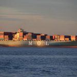 MOL_Magnificence
