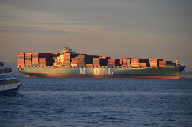 MOL_Magnificence