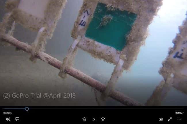 Nippon Paint Marine Adopts Novel Solution For Diverless Hull Inspections