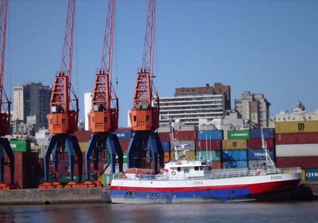 The 'Verdemilho' in harbour
