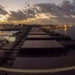 port of rotterdam bulk carrier
