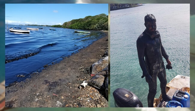 Mauritius-Oil-Spill-_-Japanese-Cargo-Ship