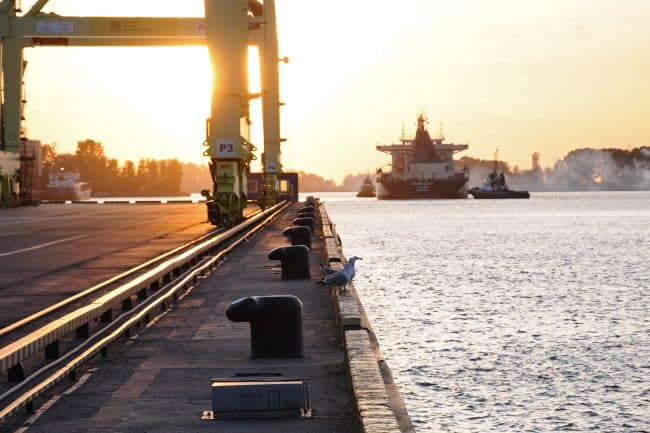 container terminal St. Petersburg terminalspb