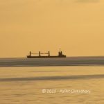 bulk carrier representation