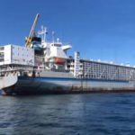 Cattle Carrier - Livestock representation