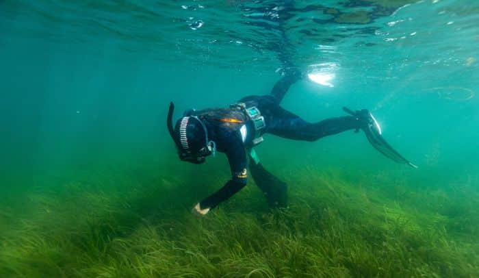 Marine And Climate Experts Call For Ocean Protection In Climate Policy