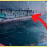 MSC tina accident
