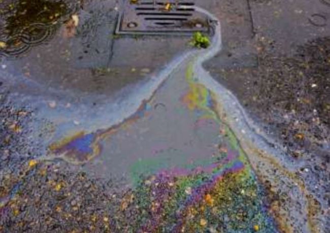 pollution oil spill microorganisms