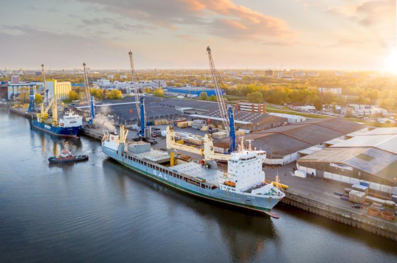 Trina (SAL)-Fairlane (Jumbo)