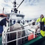 Danish seafarers onboard a ship