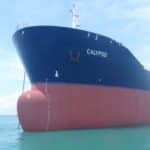 Calypso was painted with the Selektope-containing antifouling coating