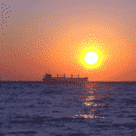 cargo ship sunset