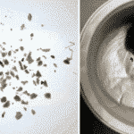 Carbon products, recovered from collected microplastics,