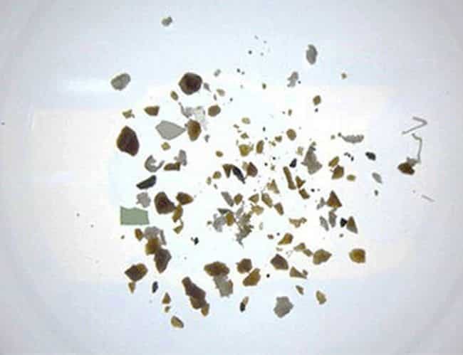 Collected microplastics