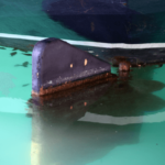 stern tube