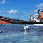 IMO Helping To Mitigate The Impacts Of Mv Wakashio Oil Spill In Mauritius