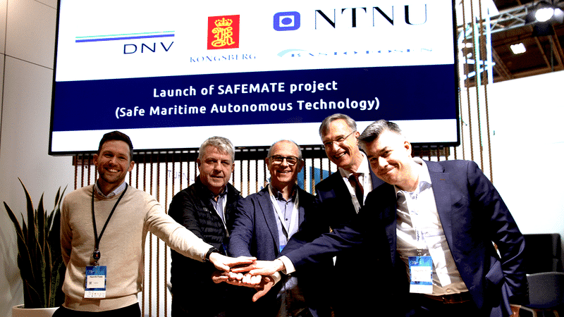 DNV Safemate