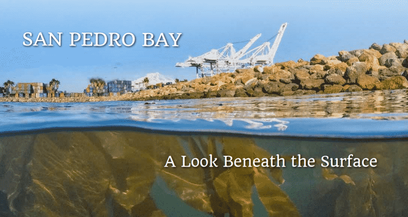 san pedro bay - a look beneath the surface