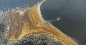 Bahamas White Sand Beaches Drenched In 30,000 Gallons of Fuel Spilled by Arabian Vessel