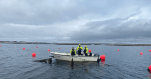 Commencing Carbon Capture With Seaweed