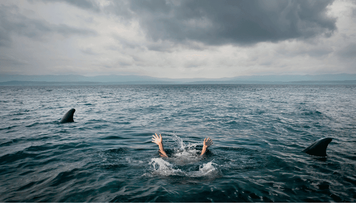 Overboard