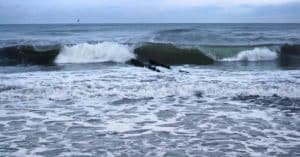 Global Sea Levels Expected To Rise Higher Than Earlier Predictions Predicted