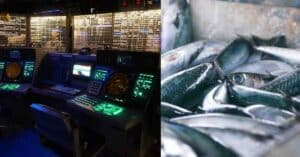 6% Of Global Fishing Is Possibly Illegal As Vessels Switch Off Their Tracking Devices