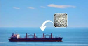 US Custom Officials Found Invasive Asian Gypsy Moth Egg Masses On Bulk Carrier From China