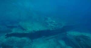 Norway-Based Archaeologists May Have Discovered A 700-Year-Old Shipwreck
