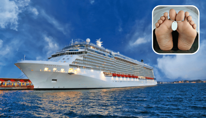 Cruise