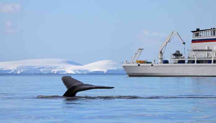 Whaling Ship, Japan