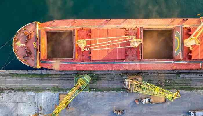 Ukraine Grain Ships