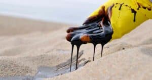 Oil Spill