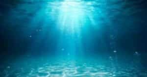 ICS Statement On The High Seas Treaty