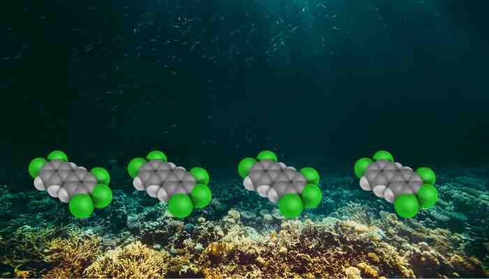Long-Banned Pollutants 